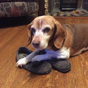 Meet your Posher, James